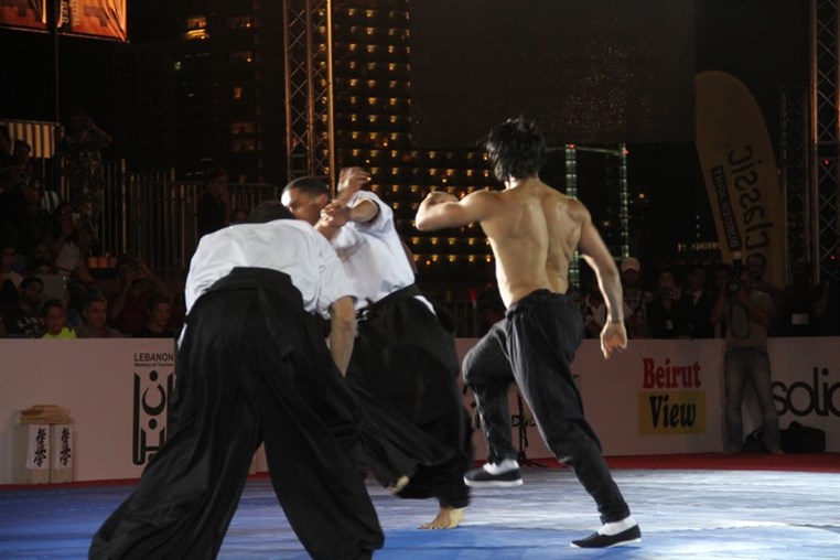 Martial Arts Festival